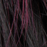 blackcherry